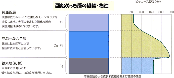 ߂w̑gDE